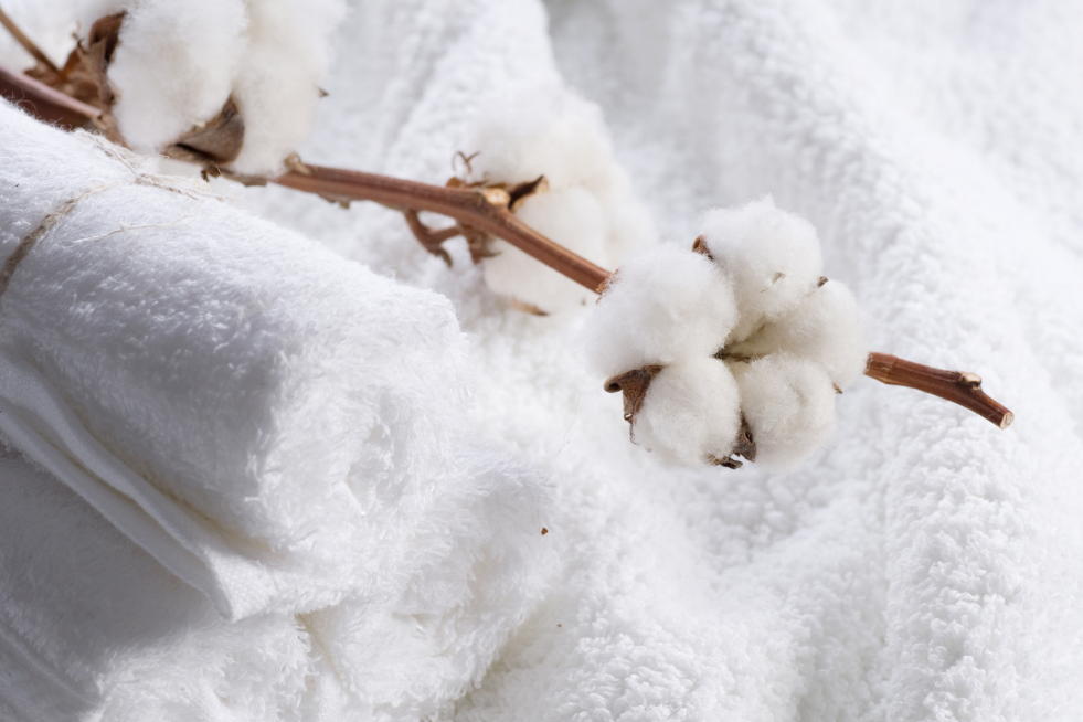 The Importance of Using Turkish Cotton in Hotel Products