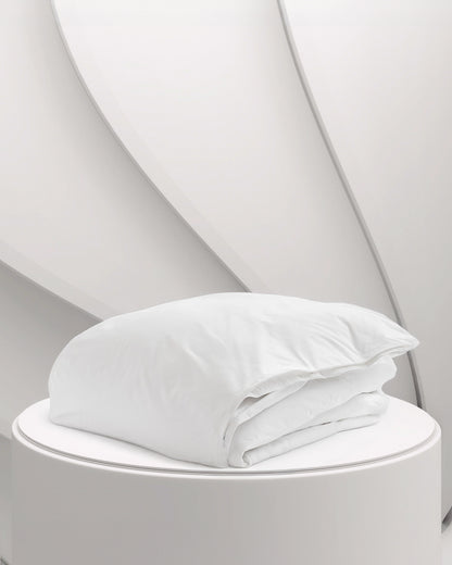 Duvet Insert Protector (Comforter Protector)